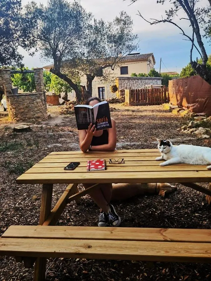 Can Costals Terraza Pals Apartment