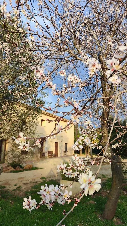 Can Costals Cerezo Pals 0*,  Spain