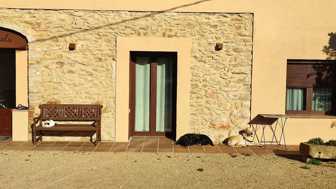 Apartment Can Costals Terraza Pals