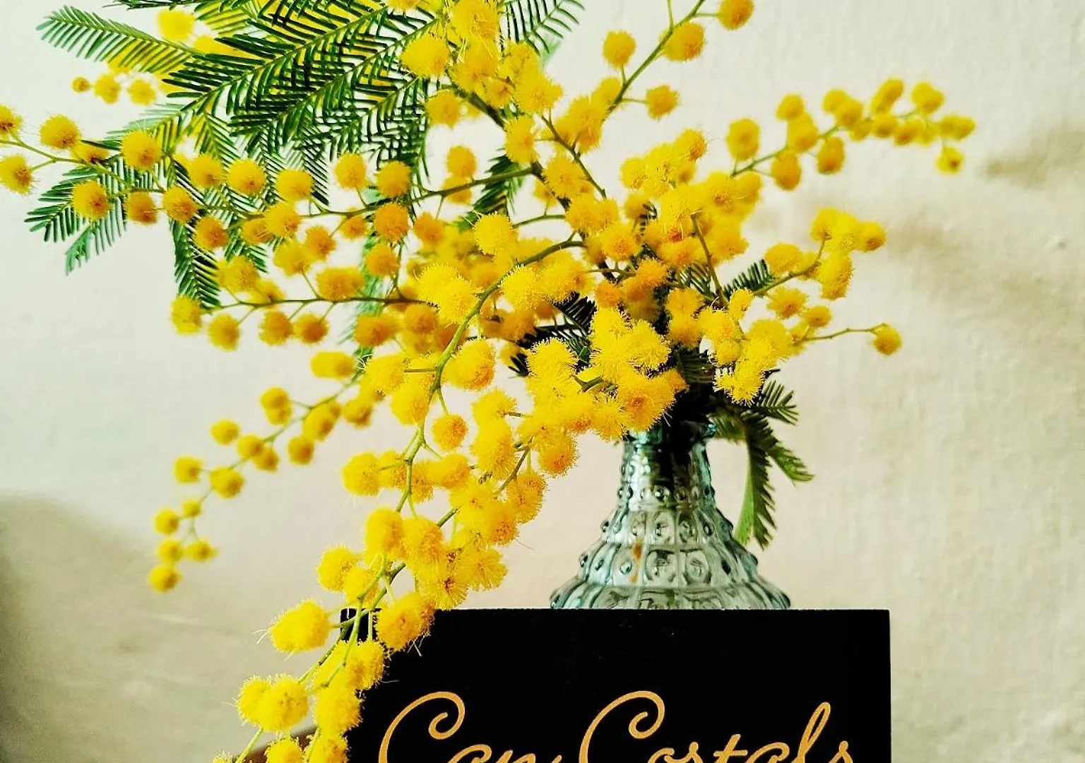 Can Costals Cerezo Pals Spain